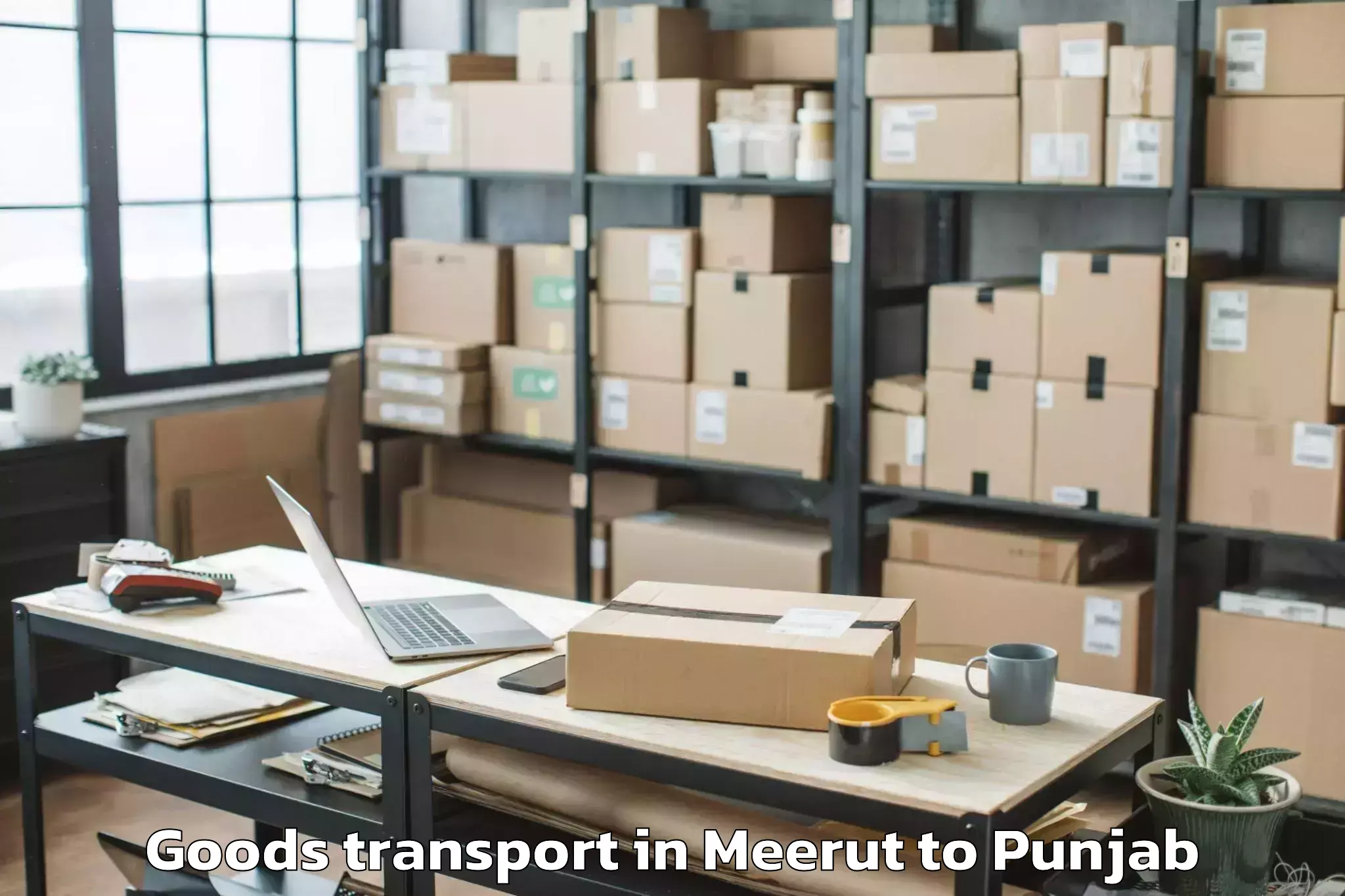 Expert Meerut to Malerkotla Goods Transport